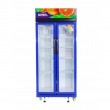 Réfrigérateur vitrine BOREAL UC-600D2BB