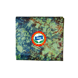 Pagne Kôkô Dunda – Coton glacé – Bleu, rouge sur fond vert clair