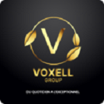 Voxell Group