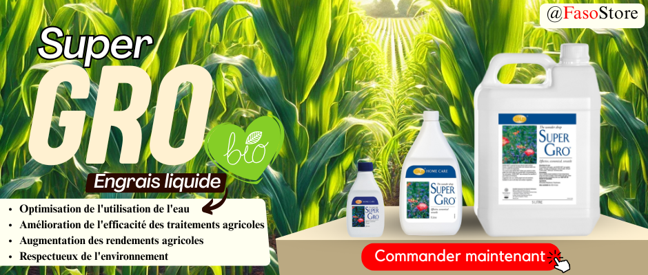 Cliquez ici pour commander maintenant
